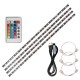 4 * 50cm USB LED Strip Lights Kit Flexible Strip Lights with Mini Remote Control Home LED Tape Strip for TV Computer Backlight 4 * 50cm USB LED Strip Lights Kit Flexible Strip Lights with Mini Remote Control Home LED Tape Strip for TV Computer Backlight