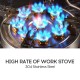 Self-Driving Tour Outdoor Stainless Steel 9-Head Stove Portable 9 Hole Fire And Brimstone Stove Single 1M Soft Tube Self-Driving Tour Outdoor Stainless Steel 9-Head Stove Portable 9 Hole Fire And Brimstone Stove Single 1M Soft Tube