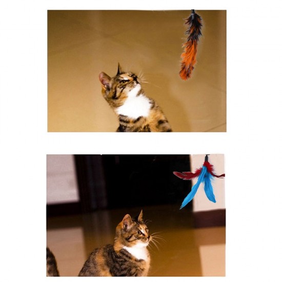 Cat Feather Rod Interactive Feather Teaser Retractable Cat Wand 11 PCS Cat Feather Rod Interactive Feather Teaser Retractable Cat Wand 11 PCS