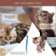 Cat Feather Rod Interactive Feather Teaser Retractable Cat Wand 11 PCS Cat Feather Rod Interactive Feather Teaser Retractable Cat Wand 11 PCS
