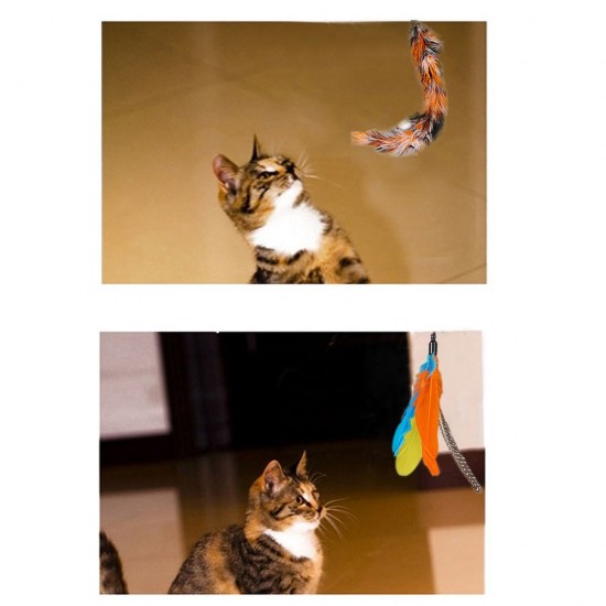 Cat Pet Feather Wand Cat Interactive Retractable Feather Toys Teaser with Bell 5 pcs Feather Replacement Cat Pet Feather Wand Cat Interactive Retractable Feather Toys Teaser with Bell 5 pcs Feather Replacement