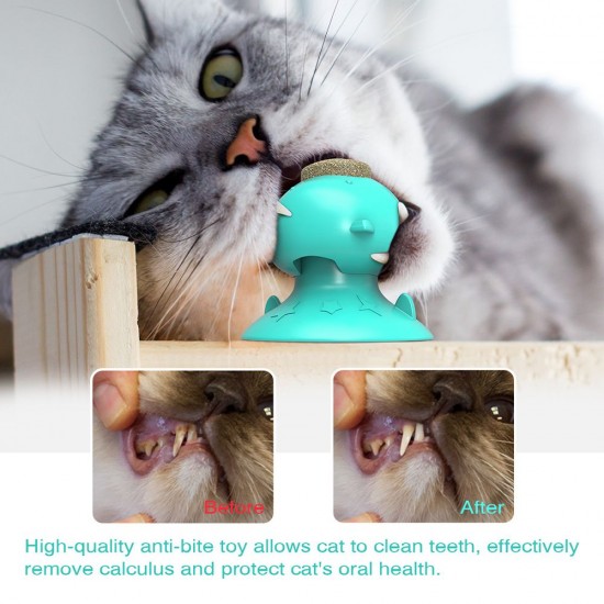 Cat Catnip Toys Interactive Cat Toy Licking Treats Toys Pig Nose Shape for Cats Teeth Cleaning Chewing Playing Cat Catnip Toys Interactive Cat Toy Licking Treats Toys Pig Nose Shape for Cats Teeth Cleaning Chewing Playing