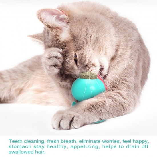 Cat Catnip Toys Interactive Cat Toy Licking Treats Toys Pig Nose Shape for Cats Teeth Cleaning Chewing Playing Cat Catnip Toys Interactive Cat Toy Licking Treats Toys Pig Nose Shape for Cats Teeth Cleaning Chewing Playing