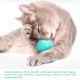 Cat Catnip Toys Interactive Cat Toy Licking Treats Toys Pig Nose Shape for Cats Teeth Cleaning Chewing Playing Cat Catnip Toys Interactive Cat Toy Licking Treats Toys Pig Nose Shape for Cats Teeth Cleaning Chewing Playing