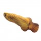 Realistic Plush Simulation Doll Fish, Funny Interactive Pets Chew Bite Supplies for Cat/Kitty/Kitten Fish Flop Cat Toy Catnip Toys Realistic Plush Simulation Doll Fish, Funny Interactive Pets Chew Bite Supplies for Cat/Kitty/Kitten Fish Flop Cat Toy Catnip Toys