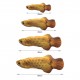 Realistic Plush Simulation Doll Fish, Funny Interactive Pets Chew Bite Supplies for Cat/Kitty/Kitten Fish Flop Cat Toy Catnip Toys Realistic Plush Simulation Doll Fish, Funny Interactive Pets Chew Bite Supplies for Cat/Kitty/Kitten Fish Flop Cat Toy Catnip Toys