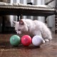 Smart Interactive Cat Toy Ball, Automatic Rolling Ball, USB Rechargeable Cat Light Toy, 360 Degree Self Rotating Ball for Pet Cat Dog, LED Lighting Cat Exercise Chaser Toy Smart Interactive Cat Toy Ball, Automatic Rolling Ball, USB Rechargeable Cat Light Toy, 360 Degree Self Rotating Ball for Pet Cat Dog, LED Lighting Cat Exercise Chaser Toy