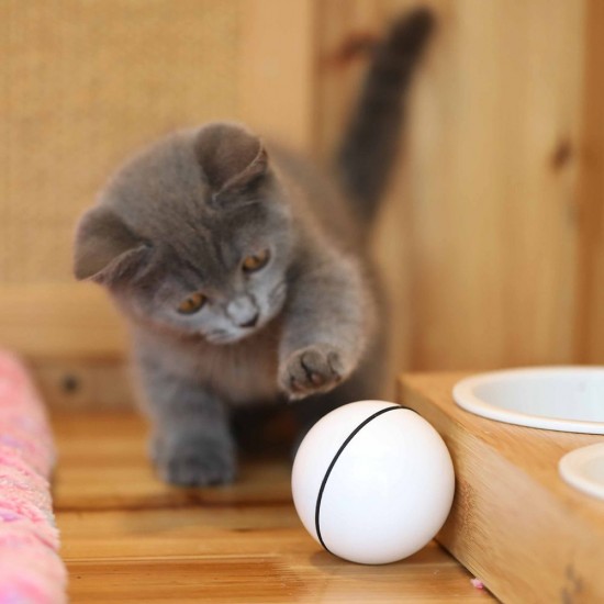 Smart Interactive Cat Toy Ball, Automatic Rolling Ball, USB Rechargeable Cat Light Toy, 360 Degree Self Rotating Ball for Pet Cat Dog, LED Lighting Cat Exercise Chaser Toy Smart Interactive Cat Toy Ball, Automatic Rolling Ball, USB Rechargeable Cat Light Toy, 360 Degree Self Rotating Ball for Pet Cat Dog, LED Lighting Cat Exercise Chaser Toy