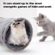 Pet Collapsible Cat Tunnel, Cat Toys Play Tunnel Durable Suede Pet Crinkle Tunnel with Ball, 130*30cm Pet Collapsible Cat Tunnel, Cat Toys Play Tunnel Durable Suede Pet Crinkle Tunnel with Ball, 130*30cm