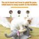 Cat Scratching Post Sisal-Covered Scratch Posts and Pads with Play Ball Durable Cat Scratcher Pole for Kittens and Cats Cat Scratching Post Sisal-Covered Scratch Posts and Pads with Play Ball Durable Cat Scratcher Pole for Kittens and Cats