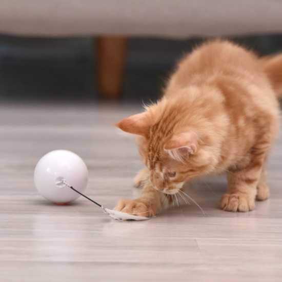Pet Multicolor Lighting Cat Ball Plaything USB Charge Intelligent Multicolor Scrolling Pet Ball With Feather Pet Multicolor Lighting Cat Ball Plaything USB Charge Intelligent Multicolor Scrolling Pet Ball With Feather