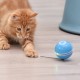Pet Multicolor Lighting Cat Ball Plaything USB Charge Intelligent Multicolor Scrolling Pet Ball With Feather Pet Multicolor Lighting Cat Ball Plaything USB Charge Intelligent Multicolor Scrolling Pet Ball With Feather