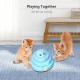 14PCS Cat Toy Interactive Toys Variety Pack Set Including 3 Level Towers Tracks Roller Feather Teaser Fluffy Mouse Crinkle Balls Having Fun Exerciser Playing for Pet Birthday Gift 14PCS Cat Toy Interactive Toys Variety Pack Set Including 3 Level Towers Tracks Roller Feather Teaser Fluffy Mouse Crinkle Balls Having Fun Exerciser Playing for Pet Birthday Gift