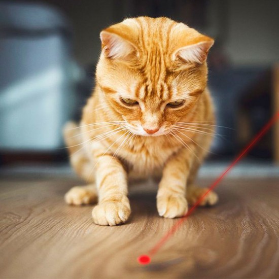 Tease Cat Pen Flashlight Toy Laser LED Pen Light USB Charging 3 Lighting Modes Creative Style Tease Cat Pen Flashlight Toy Laser LED Pen Light USB Charging 3 Lighting Modes Creative Style