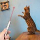 Tease Cat Pen Flashlight Toy Laser LED Pen Light USB Charging 3 Lighting Modes Creative Style Tease Cat Pen Flashlight Toy Laser LED Pen Light USB Charging 3 Lighting Modes Creative Style