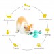 Interactive Windmill Cat Toys with Catnip : Cat Toys for Indoor Cats Funny Kitten Toys with LED Light Ball Suction Cup‖Cat Nip Toy for Cat chew Exercise Interactive Windmill Cat Toys with Catnip : Cat Toys for Indoor Cats Funny Kitten Toys with LED Light Ball Suction Cup‖Cat Nip Toy for Cat chew Exercise