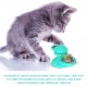 Interactive Windmill Cat Toys with Catnip : Cat Toys for Indoor Cats Funny Kitten Toys with LED Light Ball Suction Cup‖Cat Nip Toy for Cat chew Exercise Interactive Windmill Cat Toys with Catnip : Cat Toys for Indoor Cats Funny Kitten Toys with LED Light Ball Suction Cup‖Cat Nip Toy for Cat chew Exercise