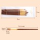 5pcs Paint Brushes Set Kit Round Pointed Tip Brushes with Nylon Hair for Artist Acrylic Aquarelle Gouache Watercolor Oil Painting for Great Art Drawing Supplies 5pcs Paint Brushes Set Kit Round Pointed Tip Brushes with Nylon Hair for Artist Acrylic Aquarelle Gouache Watercolor Oil Painting for Great Art Drawing Supplies