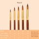 5pcs Paint Brushes Set Kit Round Pointed Tip Brushes with Nylon Hair for Artist Acrylic Aquarelle Gouache Watercolor Oil Painting for Great Art Drawing Supplies 5pcs Paint Brushes Set Kit Round Pointed Tip Brushes with Nylon Hair for Artist Acrylic Aquarelle Gouache Watercolor Oil Painting for Great Art Drawing Supplies