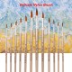 12pcs Paint Brushes Set Kit Round Pointed Tip Brushes with Nylon Hair for Artist Acrylic Aquarelle Gouache Watercolor Oil Painting for Great Art Drawing Supplies 12pcs Paint Brushes Set Kit Round Pointed Tip Brushes with Nylon Hair for Artist Acrylic Aquarelle Gouache Watercolor Oil Painting for Great Art Drawing Supplies