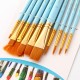 10pcs Watercolor Paint Brushes Set Nylon Hair Artist Paintbrushes with Fan Tip for Acrylic Oil Gouache Nail Body Face Rock Drawing Arts Crafts Supplies Painting 10pcs Watercolor Paint Brushes Set Nylon Hair Artist Paintbrushes with Fan Tip for Acrylic Oil Gouache Nail Body Face Rock Drawing Arts Crafts Supplies Painting
