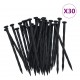 Flexible Lawn Edging with 30 Pegs 10 m 5 cm Flexible Lawn Edging with 30 Pegs 10 m 5 cm