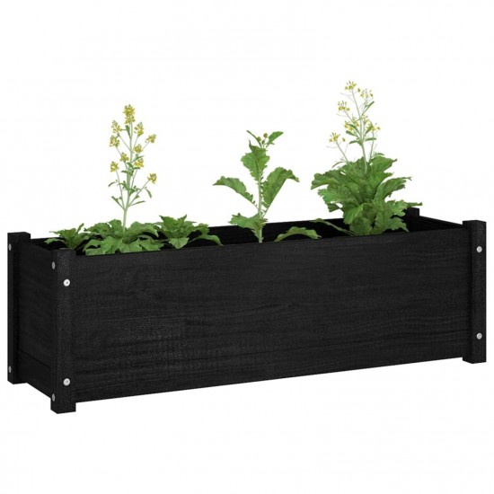 Garden Planters 2 pcs Black 100x31x31 cm Solid Pinewood Garden Planters 2 pcs Black 100x31x31 cm Solid Pinewood