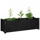 Garden Planters 2 pcs Black 100x31x31 cm Solid Pinewood Garden Planters 2 pcs Black 100x31x31 cm Solid Pinewood