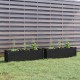 Garden Planters 2 pcs Black 100x31x31 cm Solid Pinewood Garden Planters 2 pcs Black 100x31x31 cm Solid Pinewood
