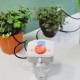 Automatic Drip Irrigation Emitter System Controller Batter-powered/USB-powered Programmable Watering Water Timer for Gardening Pot Plants Flowers with 10-meters 4/7 Automatic Drip Irrigation Emitter System Controller Batter-powered/USB-powered Programmable Watering Water Timer for Gardening Pot Plants Flowers with 10-meters 4/7