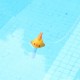 Practical Durable Cute Baby Cartoon Goldfish Indoor Outdoor Floating Thermometer With String For Swimming Pool Practical Durable Cute Baby Cartoon Goldfish Indoor Outdoor Floating Thermometer With String For Swimming Pool