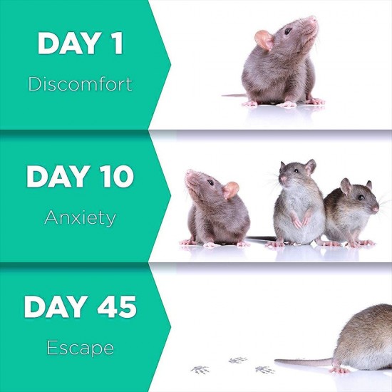 Electronic Pest Reject Mouse Cockroach Repeller Device Insect Rats Spiders Mosquito Killer Pest Control for Living Room Garage Office Hotel Humans and Pets Safe Electronic Pest Reject Mouse Cockroach Repeller Device Insect Rats Spiders Mosquito Killer Pest Control for Living Room Garage Office Hotel Humans and Pets Safe