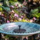 Solar Fountain Pump 3W Solar Powered Outdoor Bird Bath Fountain 7 Spray Patterns Water Pump with Colored LED Lights Battery Backup for Garden Pond Pool Fish Tank Aquarium and Pet Solar Fountain Pump 3W Solar Powered Outdoor Bird Bath Fountain 7 Spray Patterns Water Pump with Colored LED Lights Battery Backup for Garden Pond Pool Fish Tank Aquarium and Pet