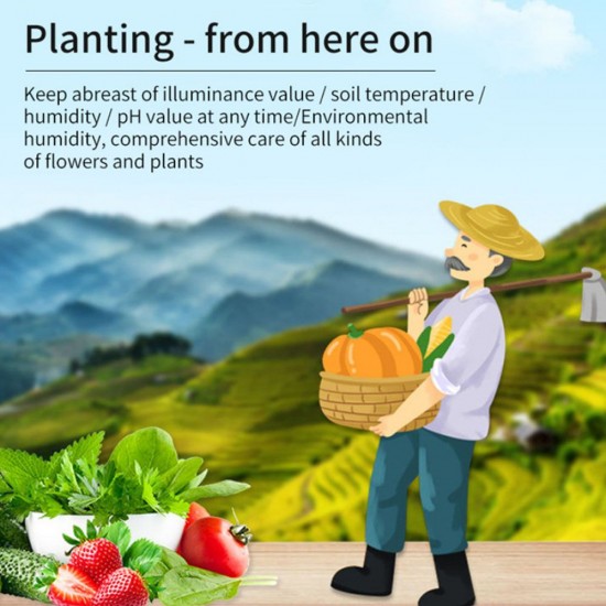 4-in-1 Soil Tester Multifunctional Soil Detector Moisture Meter pH Meter Temperature Moisture Sunlight Intensity PH Tester 4-in-1 Soil Tester Multifunctional Soil Detector Moisture Meter pH Meter Temperature Moisture Sunlight Intensity PH Tester