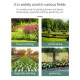 5-in-1 Soil Tester Multifunctional Soil Detector Moisture Meter pH Meter Temperature Soil/Ambient Moisture Sunlight Intensity pH Tester 5-in-1 Soil Tester Multifunctional Soil Detector Moisture Meter pH Meter Temperature Soil/Ambient Moisture Sunlight Intensity pH Tester