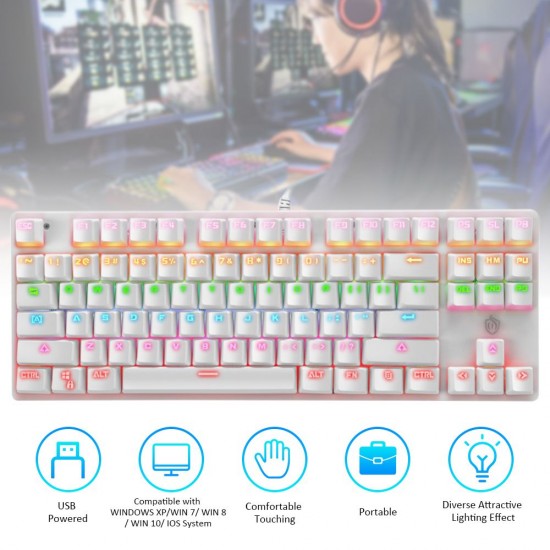 Illuminated Keyboard 87 Keys Gaming Keyboard USB Powered Operated Diverse Lighting Effect for Computer Laptop E-sports Compatible with WINDOWS XP/ WIN 7/ WIN 8/ WIN 10/ IOS System Illuminated Keyboard 87 Keys Gaming Keyboard USB Powered Operated Diverse Lighting Effect for Computer Laptop E-sports Compatible with WINDOWS XP/ WIN 7/ WIN 8/ WIN 10/ IOS System