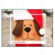 Christmas Decoration Supplies Creative Cute Cartoon Puppy Christmas Stockings Khaki Dog Christmas Puppy Socks Christmas Decoration Supplies Creative Cute Cartoon Puppy Christmas Stockings Khaki Dog Christmas Puppy Socks