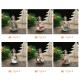 Christmas Tree Hanging Bulb Globe with Hanging Rope Christmas DIY LED Light Bulb Christmas Tree Hanging Pendant Decoration for Christmas Winter Home Holiday Party Gift Christmas Tree Hanging Bulb Globe with Hanging Rope Christmas DIY LED Light Bulb Christmas Tree Hanging Pendant Decoration for Christmas Winter Home Holiday Party Gift