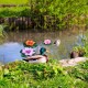 4 Inch Artificial Floating Lotus Flowers Water Ponds Foam Lotus Leaf Fake Lily Pad Floating Pool Home Pond Decoration Plants 4 Inch Artificial Floating Lotus Flowers Water Ponds Foam Lotus Leaf Fake Lily Pad Floating Pool Home Pond Decoration Plants