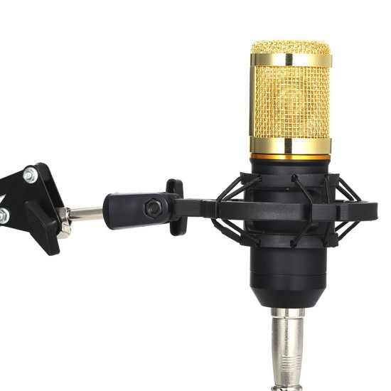 Multifunctional Live Sound Card and BM800 Suspension Microphone Kit Broadcasting Recording Condenser Microphone Set Intelligent Volume Adjustable Audio Mixer Sound Card for Computer PC Live Sound Multifunctional Live Sound Card and BM800 Suspension Microphone Kit Broadcasting Recording Condenser Microphone Set Intelligent Volume Adjustable Audio Mixer Sound Card for Computer PC Live Sound