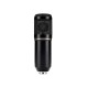 Multifunctional Live Sound Card and BM800 Suspension Microphone Kit Broadcasting Recording Condenser Microphone Set Intelligent Volume Adjustable Audio Mixer Sound Card for Computer PC Live Sound Multifunctional Live Sound Card and BM800 Suspension Microphone Kit Broadcasting Recording Condenser Microphone Set Intelligent Volume Adjustable Audio Mixer Sound Card for Computer PC Live Sound