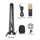 Multifunctional Live Sound Card and BM800 Suspension Microphone Kit Broadcasting Recording Condenser Microphone Set Intelligent Volume Adjustable Audio Mixer Sound Card for Computer PC Live Sound Multifunctional Live Sound Card and BM800 Suspension Microphone Kit Broadcasting Recording Condenser Microphone Set Intelligent Volume Adjustable Audio Mixer Sound Card for Computer PC Live Sound