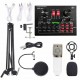 Multifunctional Live V8X Sound Card and BM800 Suspension Microphone Kit Broadcasting Recording Condenser Microphone Set Intelligent Audio Mixer Sound Card for Computers and Mobilephone Multifunctional Live V8X Sound Card and BM800 Suspension Microphone Kit Broadcasting Recording Condenser Microphone Set Intelligent Audio Mixer Sound Card for Computers and Mobilephone