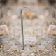 6pcs/10pcs Titanium Tent Pegs Titanium Tent Nails Outdoor Camping Tent Stakes Bend Hook 6pcs/10pcs Titanium Tent Pegs Titanium Tent Nails Outdoor Camping Tent Stakes Bend Hook
