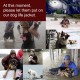 Dog Life Vest Camouflage Reflective Stripe Life Jacket Floating Coat for Big Size Dogs Swimming Safety Dog Life Vest Camouflage Reflective Stripe Life Jacket Floating Coat for Big Size Dogs Swimming Safety