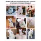 Cute Pet Rabbit Ears Hat for Cat Cosplay Clothes Fancy Pet Bunny Cap Halloween Easter Birthday Photo Shoot Dress for Cat Cute Pet Rabbit Ears Hat for Cat Cosplay Clothes Fancy Pet Bunny Cap Halloween Easter Birthday Photo Shoot Dress for Cat