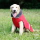 Dog Vest Cold Weather Dog Coats for Winter Warm Fleece Dog Clothes for Small Medium Large Dogs Dog Vest Cold Weather Dog Coats for Winter Warm Fleece Dog Clothes for Small Medium Large Dogs