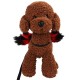 Dog Leash with Spider Pet Dog Halloween Costume Pet Cosplay Clothes Decoration Halloween Dress Up Props for Dogs Puppy Dog Leash with Spider Pet Dog Halloween Costume Pet Cosplay Clothes Decoration Halloween Dress Up Props for Dogs Puppy