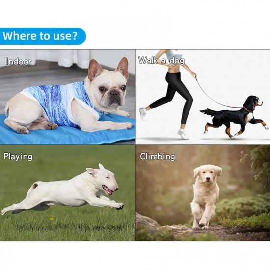 Dog Cooling Shirt Dog Cooling Vest Dog Breathable Shirt for Hot Summer Absorb Water Evaporate Quickly Dog Cooling Shirt Dog Cooling Vest Dog Breathable Shirt for Hot Summer Absorb Water Evaporate Quickly