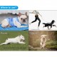 Dog Cooling Shirt Dog Cooling Vest Dog Breathable Shirt for Hot Summer Absorb Water Evaporate Quickly Dog Cooling Shirt Dog Cooling Vest Dog Breathable Shirt for Hot Summer Absorb Water Evaporate Quickly